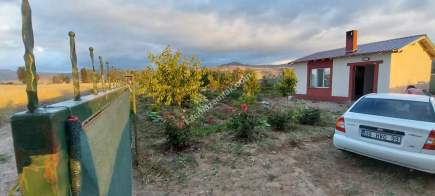 Sivas Serpincik Satılık Etrafı Çevrili Bahçe 537M2 21