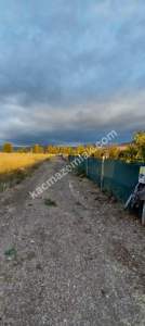 Sivas Serpincik Satılık Etrafı Çevrili Bahçe 537M2 31