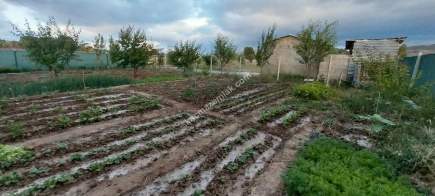 Sivas Serpincik Satılık Etrafı Çevrili Bahçe 537M2 32