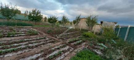 Sivas Serpincik Satılık Etrafı Çevrili Bahçe 537M2 22