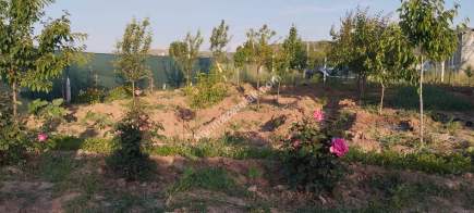 Sivas Serpincik Satılık Etrafı Çevrili Bahçe 537M2 25