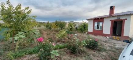 Sivas Serpincik Satılık Etrafı Çevrili Bahçe 537M2 34