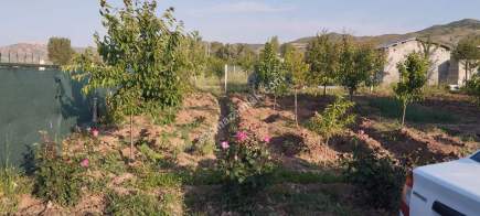 Sivas Serpincik Satılık Etrafı Çevrili Bahçe 537M2 14
