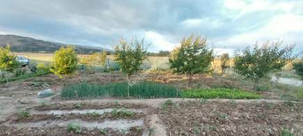 Sivas Serpincik Satılık Etrafı Çevrili Bahçe 537M2 3