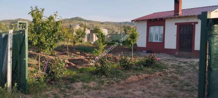 Sivas Serpincik Satılık Etrafı Çevrili Bahçe 537M2 4