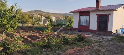 Sivas Serpincik Satılık Etrafı Çevrili Bahçe 537M2 13