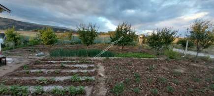 Sivas Serpincik Satılık Etrafı Çevrili Bahçe 537M2 33