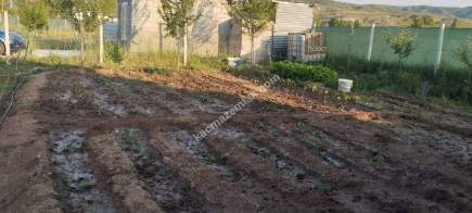 Sivas Serpincik Satılık Etrafı Çevrili Bahçe 537M2 17