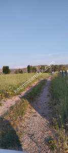 Sivas Serpincik Satılık Etrafı Çevrili Bahçe 537M2 6