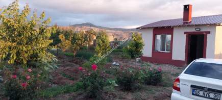 Sivas Serpincik Satılık Etrafı Çevrili Bahçe 537M2 7