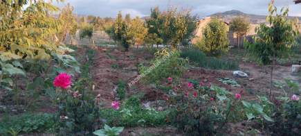 Sivas Serpincik Satılık Etrafı Çevrili Bahçe 537M2 26