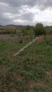 Sivas Şarkışla Satılık Tarla Ve Köy Evi Elmalı Köyü 32