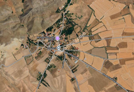 Sivas Şarkışla Satılık Tarla Ve Köy Evi Elmalı Köyü 39