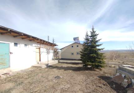 Sivas Şarkışla Satılık Tarla Ve Köy Evi Elmalı Köyü 2