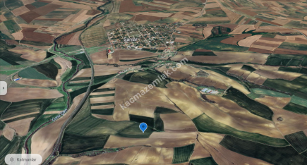 Çorlu Sarılar Mah. Satılık 37 Dönüm Tarla 1