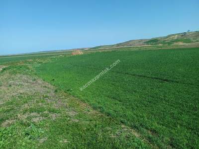 Tekirdağ Hayrabolu Lahana Mahallesi Satılık Tarla 4