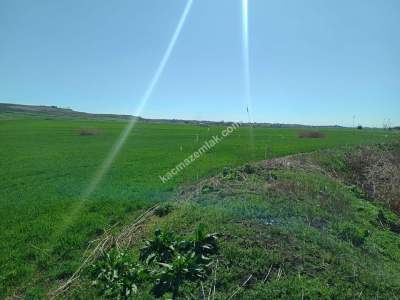 Tekirdağ Hayrabolu Lahana Mahallesi Satılık Tarla 3