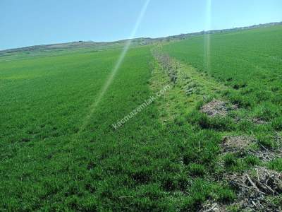 Tekirdağ Hayrabolu Lahana Mahallesi Satılık Tarla 5