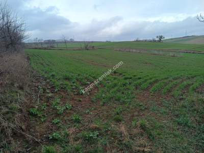 Tekirdağ Malkara Kavakçeşme Köyünde Satılık Tarla 2