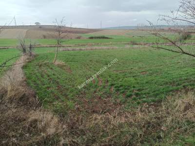 Tekirdağ Malkara Kavakçeşme Köyünde Satılık Tarla 3