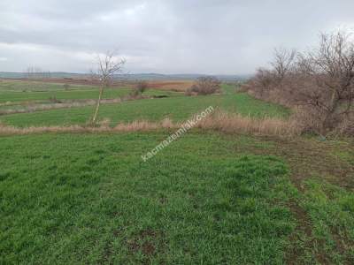Tekirdağ Malkara Kavakçeşme Köyünde Satılık Tarla 4