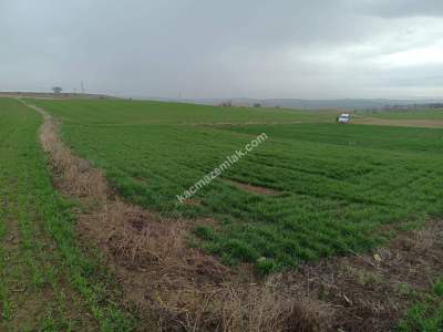 Tekirdağ Malkara Kavakçeşme Köyü Satılık Tarla 5