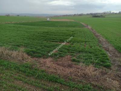 Tekirdağ Malkara Kavakçeşme Köyü Satılık Tarla 3