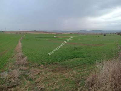 Tekirdağ Malkara Kavakçeşme Köyü Satılık Tarla 1