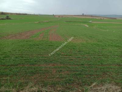 Tekirdağ Malkara Kavakçeşme Köyü Satılık Tarla 3