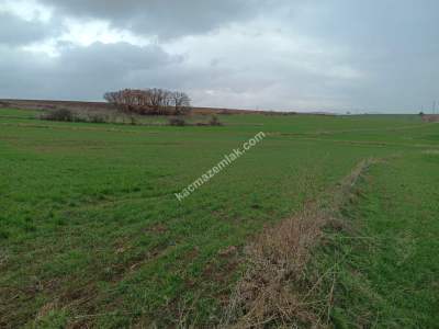 Tekirdağ Malkara Kavakçeşme Köyü Satılık Tarla 1
