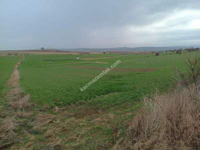 Tekirdağ Malkara Kavakçeşme Köyü Satılık Tarla 5
