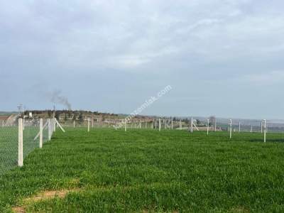 Full Deniz Manzaralı Tel Örgülü Proje 10