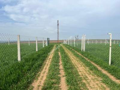 Full Deniz Manzaralı Tel Örgülü Proje 11