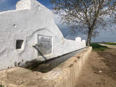 Köye Yürüme Mesafesinde Deniz Manzaralı Hobi Bahçesi 5