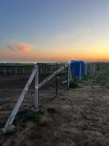 Köye Yürüme Mesafesinde Deniz Manzaralı Hobi Bahçesi 9