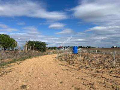 Köy İçerisinde Hobi Bahçesi 5