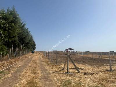 Köy İçerisinde Hobi Bahçesi 6