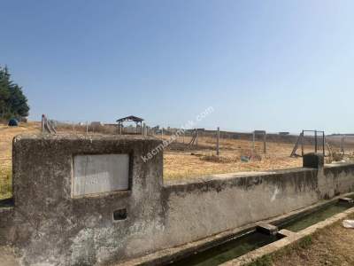 Köy İçerisinde Hobi Bahçesi 4