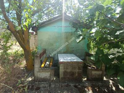 Tekirdağ Şarköy Camiikebir Mahallesi Satılık Zeytinlik 1