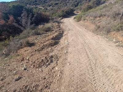 Tekirdağ Şarköy Çengelli Mahallesi Satılık Zeytinlik 14