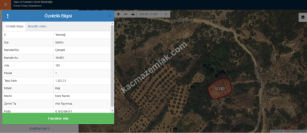 Tekirdağ Şarköy Çengelli Mahallesi Satılık Zeytinlik 18