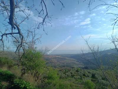 Tekirdağ Şarköy Çengelli Mahallesi Satılık Tarla 9