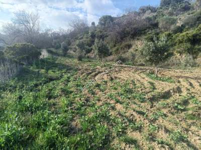 Tekirdağ Şarköy Çengelli Mahallesi Satılık Tarla 11