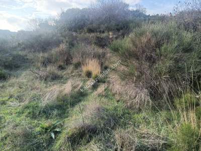 Tekirdağ Şarköy Çengelli Mahallesi Satılık Tarla 8