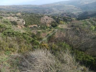 Tekirdağ Şarköy Çengelli Mahallesi Satılık Tarla 7
