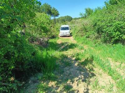 Tekirdağ Şarköy Çengelli Mahallesi Satılık Tarla 9