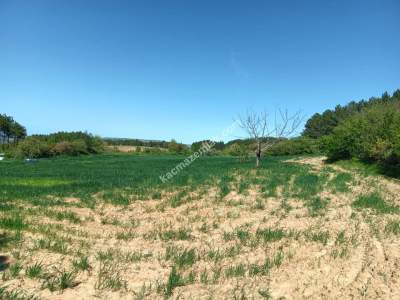 Tekirdağ Şarköy Çengelli Mahallesi Satılık Tarla 4