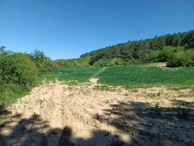Tekirdağ Şarköy Çengelli Mahallesi Satılık Tarla 3