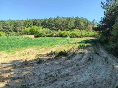 Tekirdağ Şarköy Çengelli Mahallesi Satılık Tarla 1