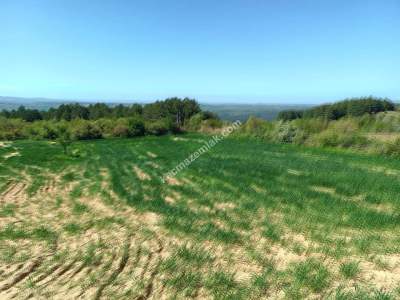 Tekirdağ Şarköy Çengelli Mahallesi Satılık Tarla 5